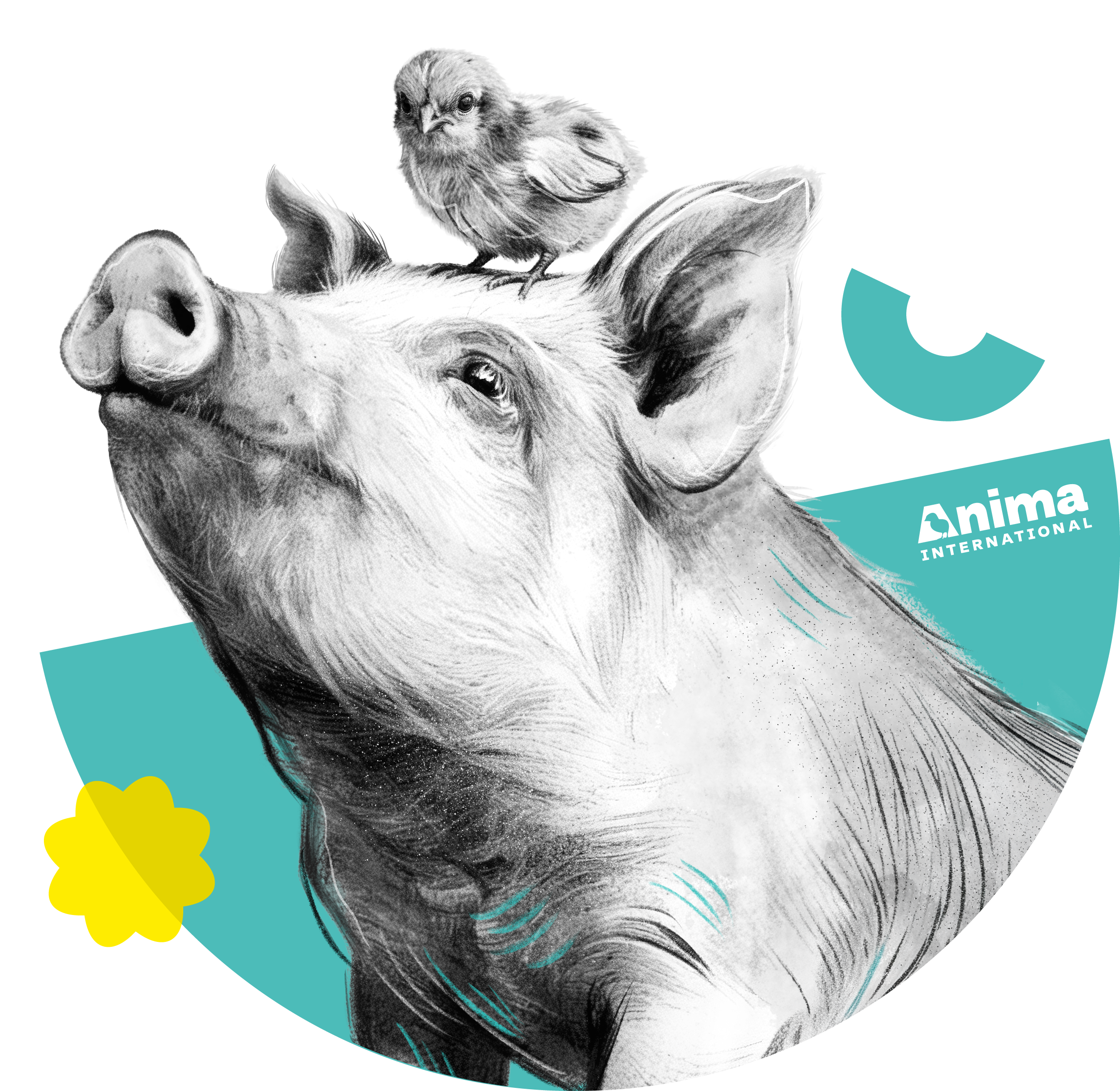 Illustration of a pig with a chick resting on its head